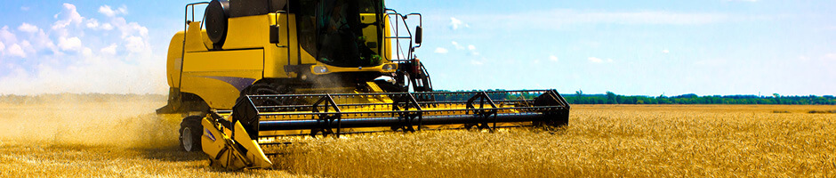 Agriculture Agriculture