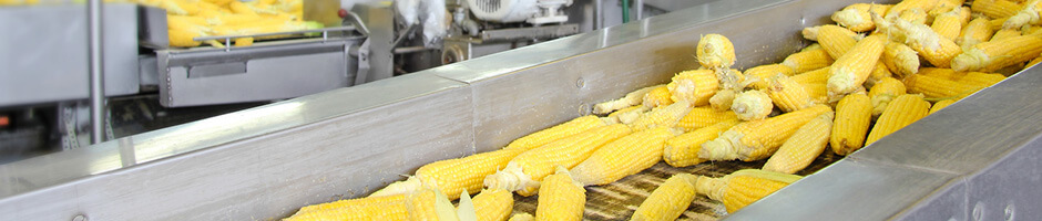 Food and Beverage Processing Food and Beverage Processing