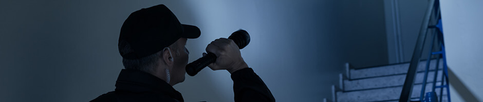 Security Services(图1) Security-Services.jpg