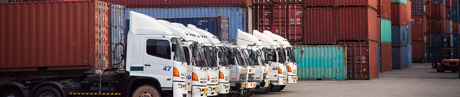 Transport & Storage(图1) Transport-Storage.jpg